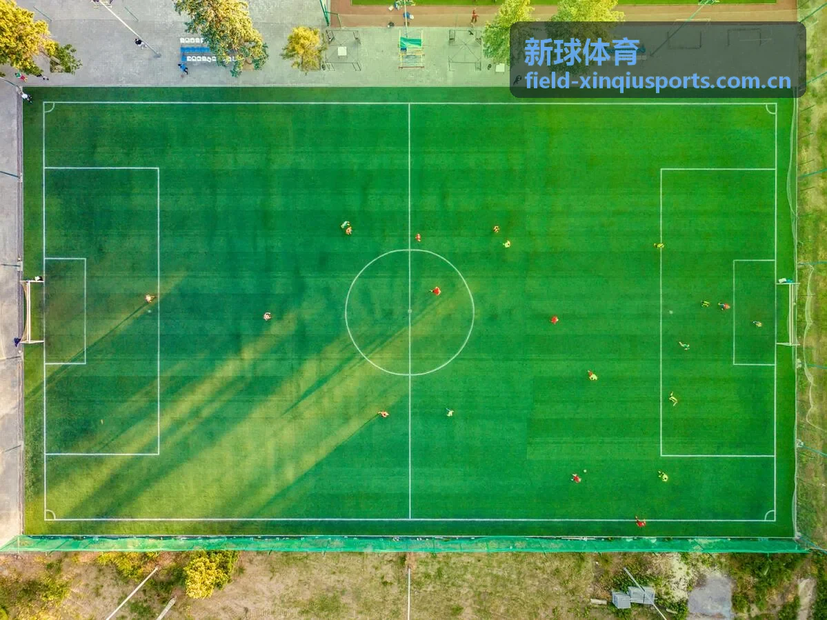 新球体育数据观察专题